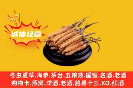 海南保亭县回收冬虫夏草